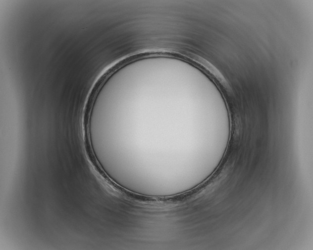 X0000112950980200908241023