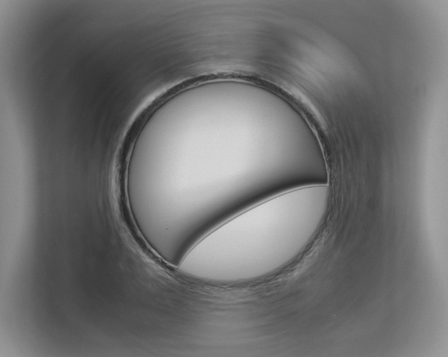 X0000112950983200908241023