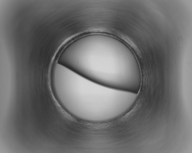 X0000112950984200908241023