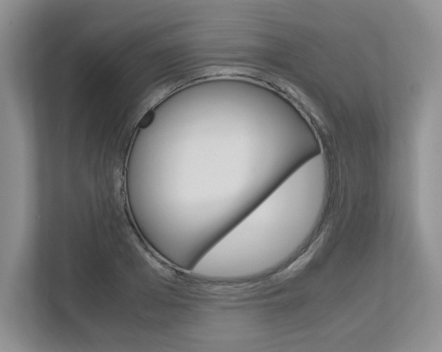 X0000112950985200908241023