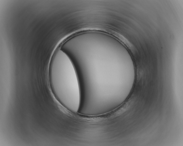 X0000112950988200908241023