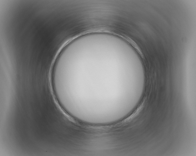 X0000112950989200908241023