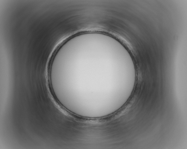 X0000112950990200908241023