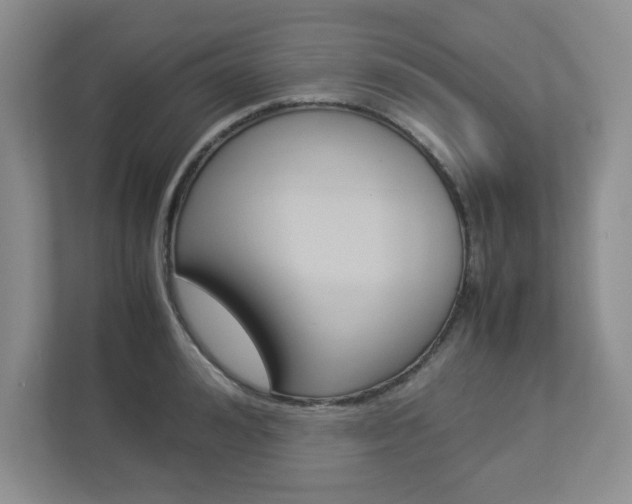 X0000112950992200908241023