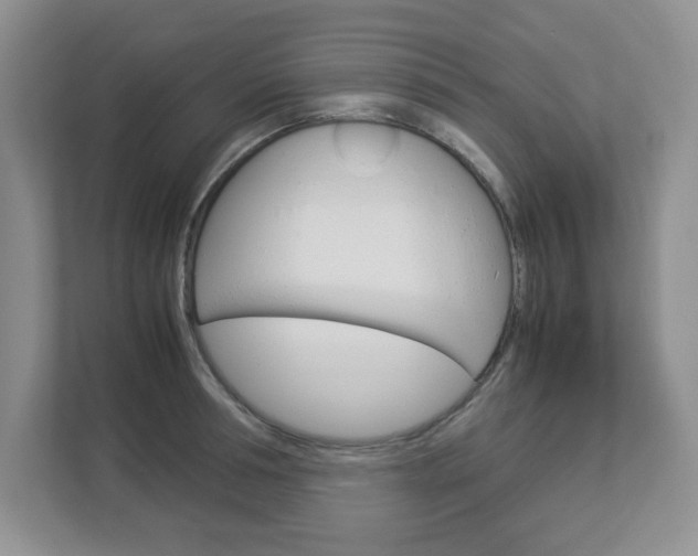 X0000112950994200908241023