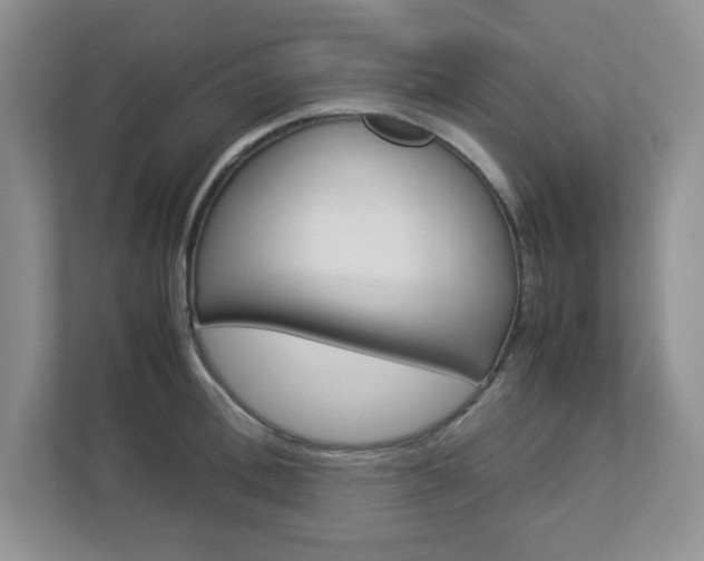 X0000112950996200908241023
