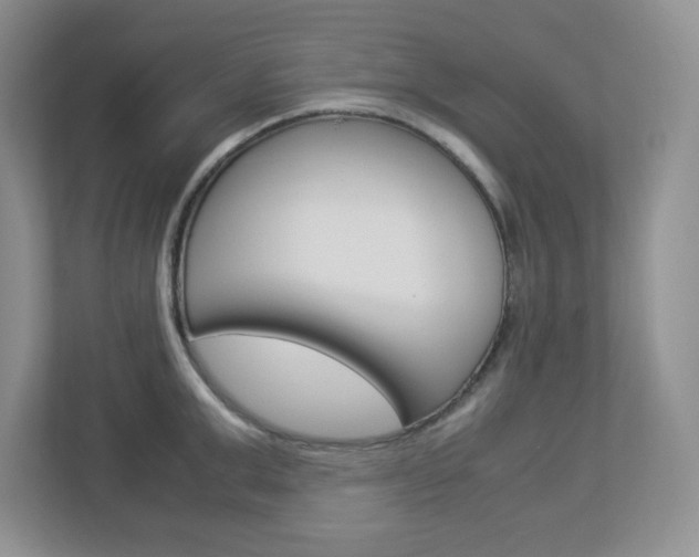 X0000112950999200908241023