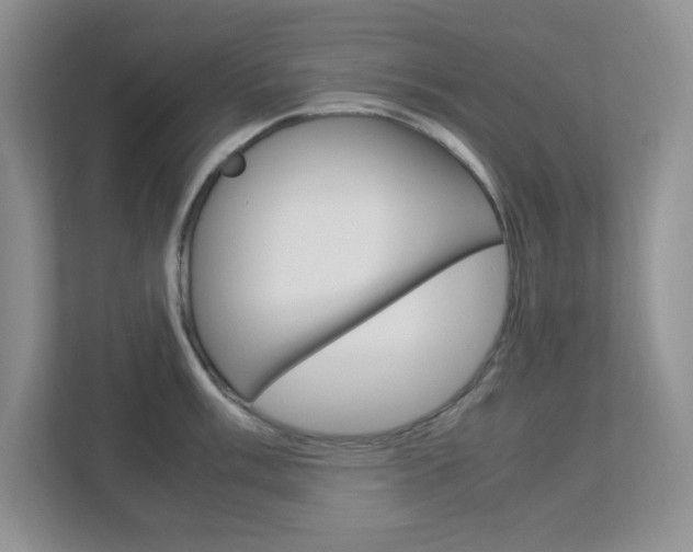 X0000112951003200908241023