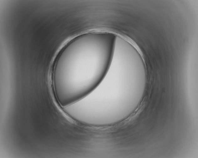 X0000112951005200908241023