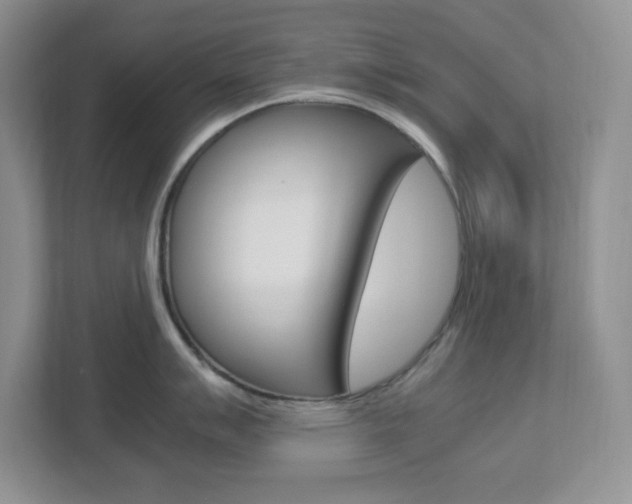 X0000112951007200908241023