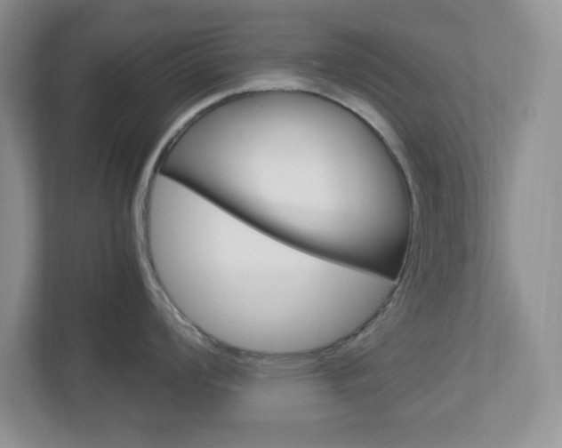 X0000112951008200908241023