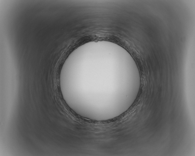 X0000112951009200908241022