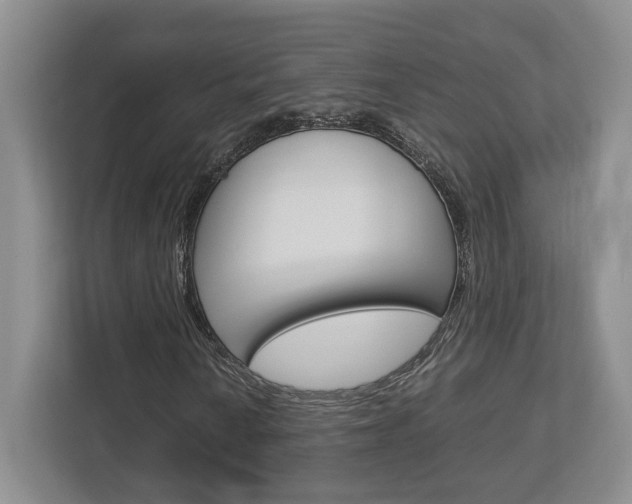X0000112951010200908241022