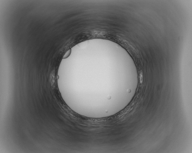 X0000112951011200908241022
