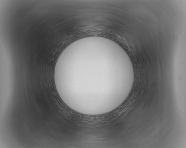 X0000112951012200908241022