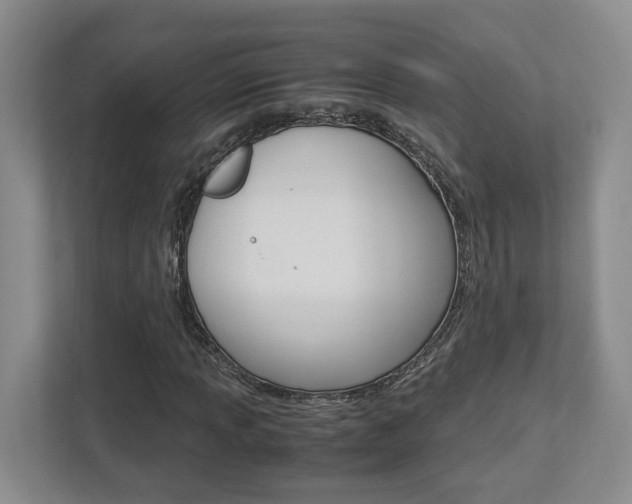 X0000112951013200908241022
