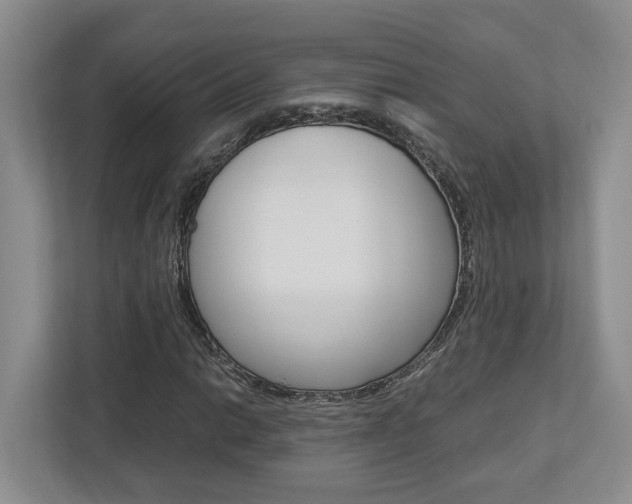 X0000112951014200908241022