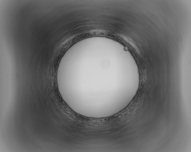 X0000112951015200908241022