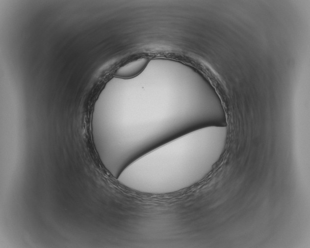 X0000112951016200908241022