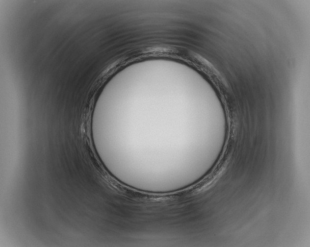 X0000112951017200908241022