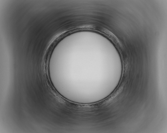 X0000112951019200908241022