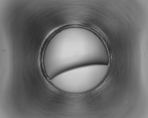 X0000112951020200908241022