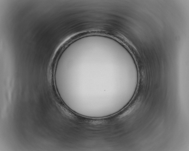 X0000112951021200908241022