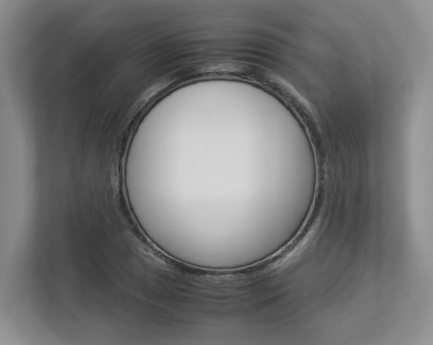 X0000112951025200908241023