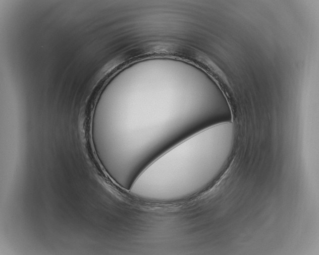 X0000112951026200908241023