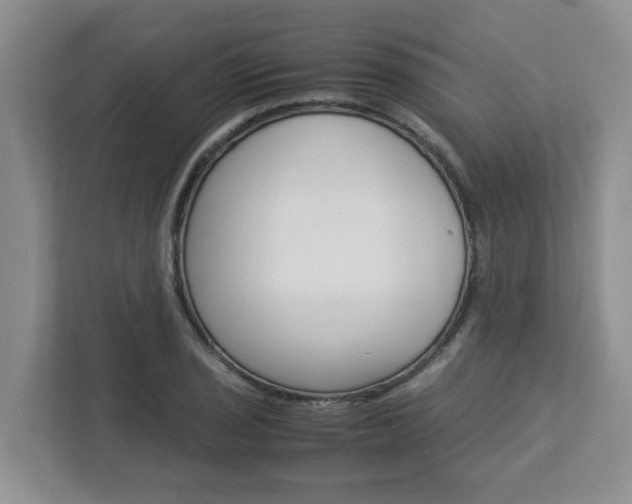 X0000112951029200908241023