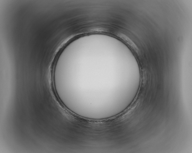X0000112951031200908241023