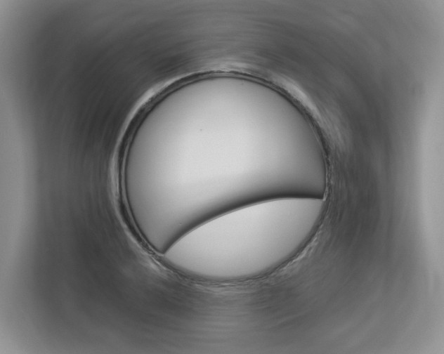 X0000112951032200908241023