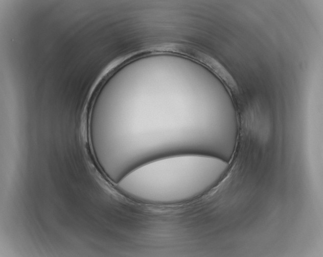 X0000112951036200908241023