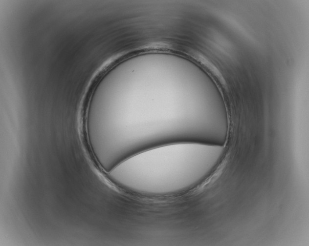 X0000112951037200908241023