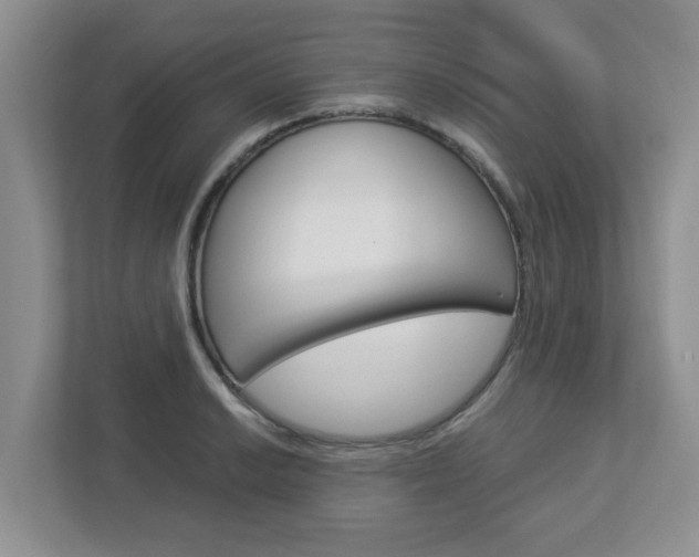 X0000112951038200908241023
