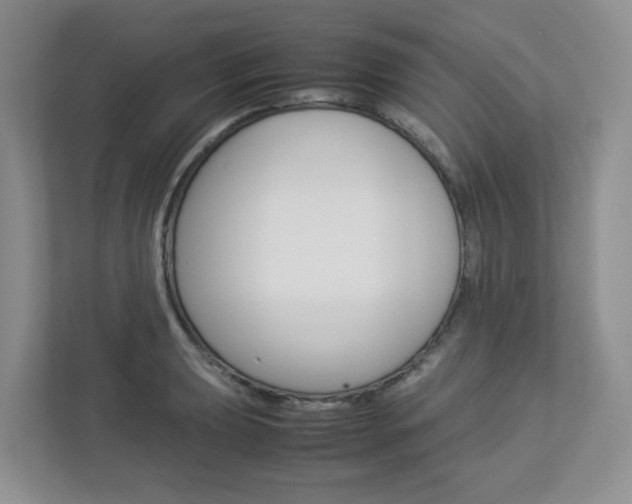 X0000112951039200908241023