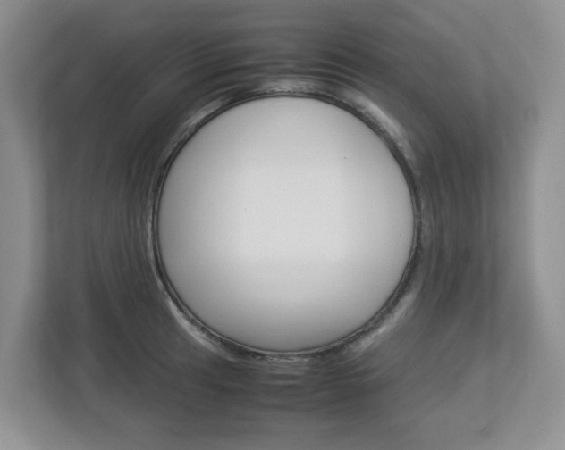 X0000112951041200908241023