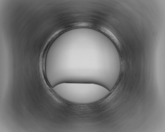 X0000112951043200908241023