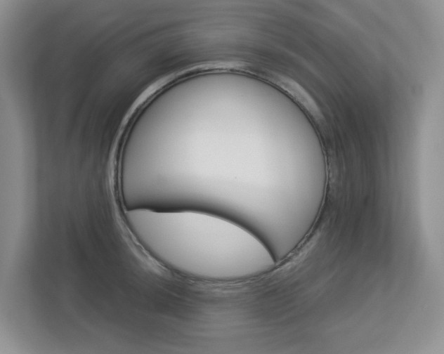 X0000112951044200908241023