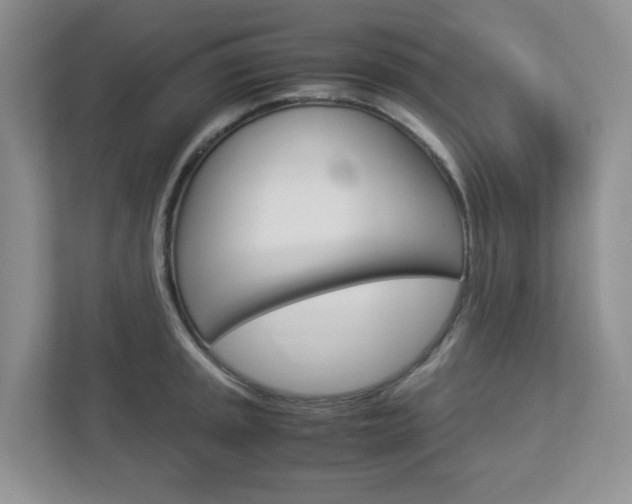 X0000112951045200908241023