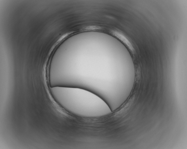 X0000112951047200908241023