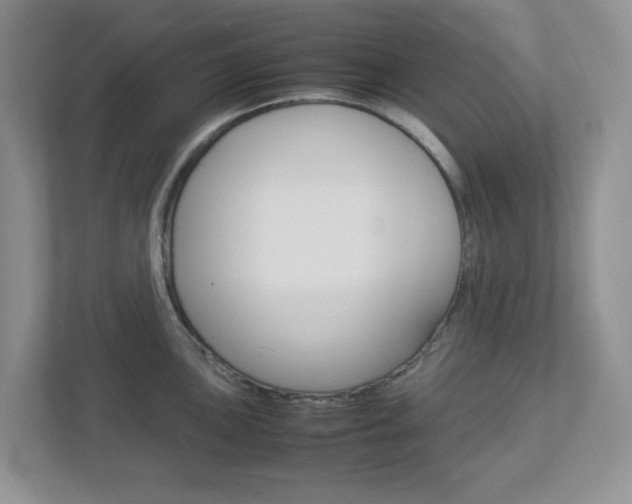 X0000112951051200908241023
