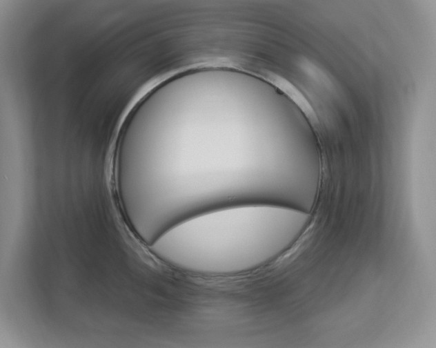 X0000112951052200908241023