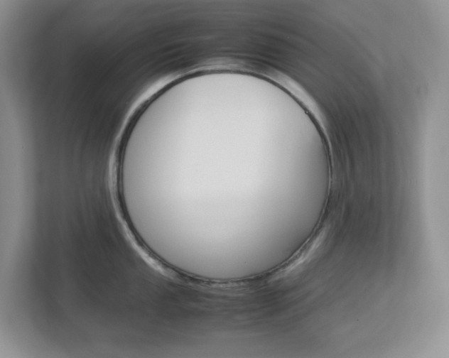 X0000112951053200908241023