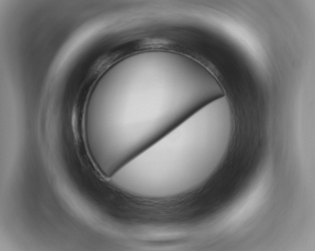 X0000112951054200908241023