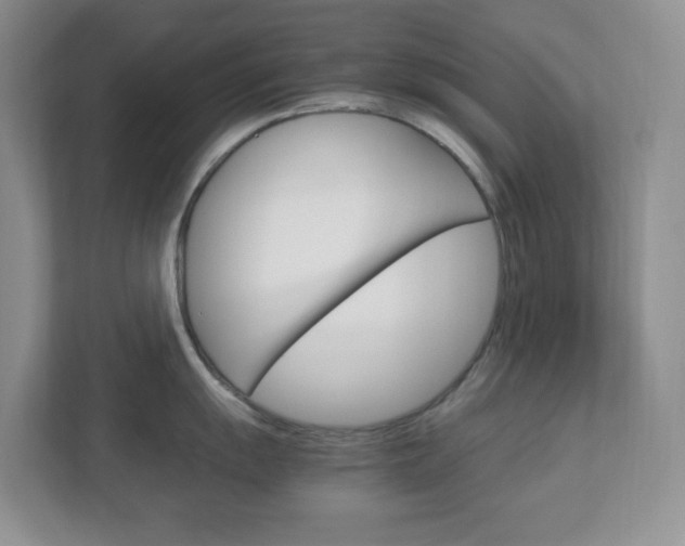 X0000112951055200908241023