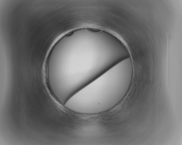 X0000112951056200908241023