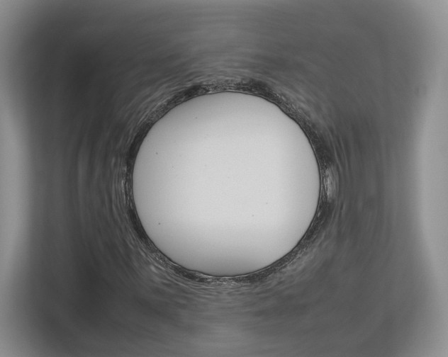 X0000112951059200908241022