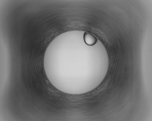 X0000112951060200908241022