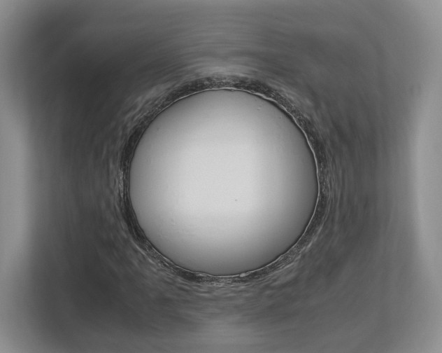 X0000112951061200908241022